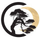 KanZen Games Sport & Collectibles | Mississauga ON logo